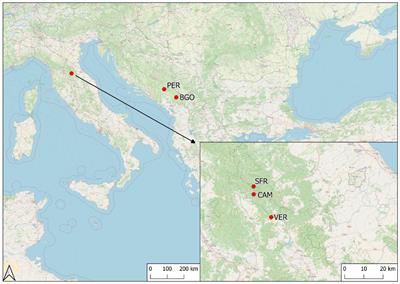 Monastic silviculture legacies and current old-growthness of silver fir (Abies alba) forests in the northern Apennines (Italy)